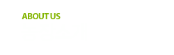 sub title